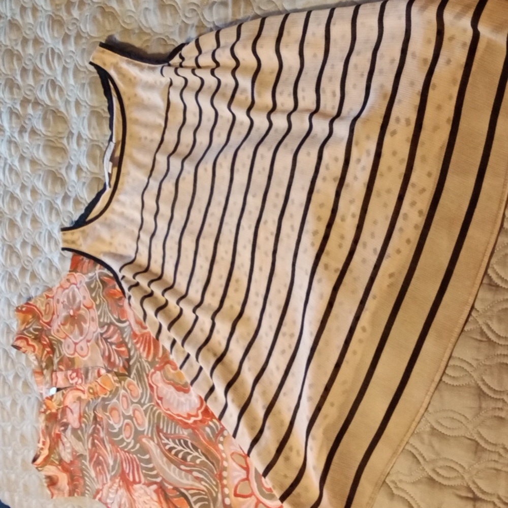2 Loft Dressy Tank Tops